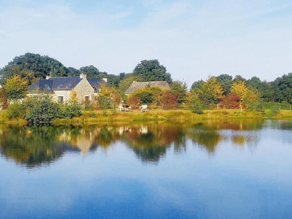 Au Petit Bonheur De Claire Et Jo Bed & Breakfast La Chapelle-Caro Dış mekan fotoğraf